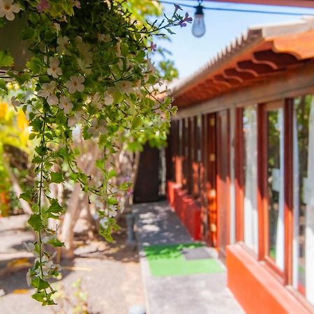 El Rincon Del Huroncillo Tejina Exterior foto